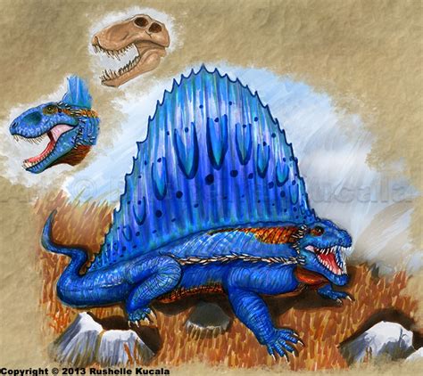 Dimetrodon On Anythingextinct Deviantart