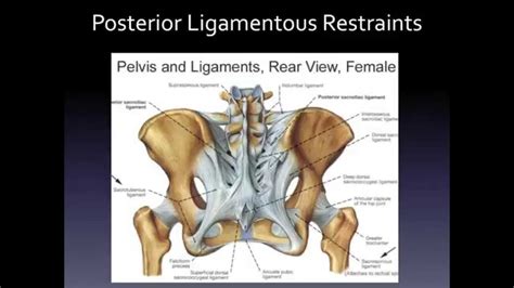 Sacroiliac Joint Pain Treatment Chiropractic Techniques Colorado