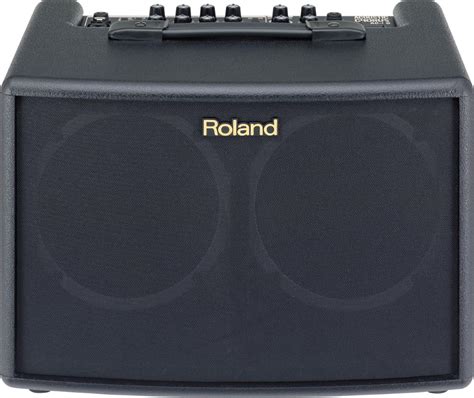 Best Acoustic Guitar Amp Guide - All Budgets - 2023 | Gearank