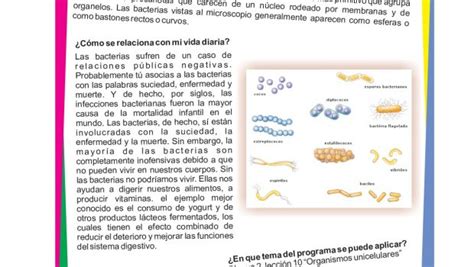 Manual De Experimentos Primaria La Ciencia Puede Ser Divertida