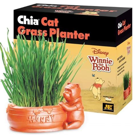 Chia Cat Grass Planter Winnie The Pooh As Seen On Tv