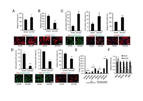 学术研究——生命学院与哈佛大学合作在cell子刊cell Metabolism杂志发表论文 上海大学校友会