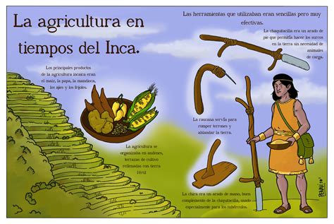 Alan Pennisi La Agricultura En Tiempos De Inca