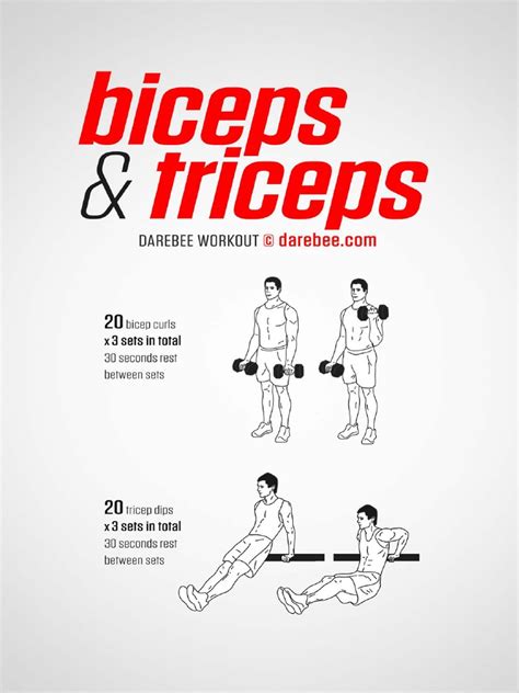 Bicep And Triceps Workout Pdf