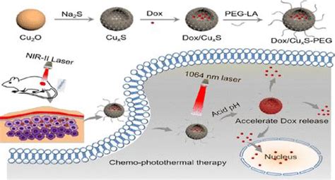 用于协同化学光热疗法的多合一秒近红外光响应给药系统 ACS Applied Bio Materials X MOL