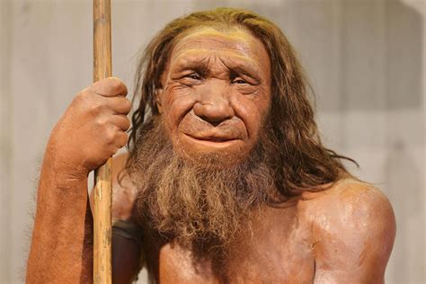 Helle Köpfchen Neandertaler waren weit mehr als dumpfe Keulenschwinger