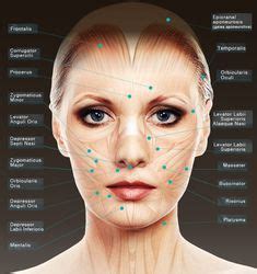 120 Best Botox injection sites ideas | botox, botox injections, botox ...