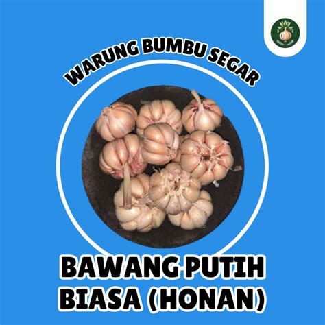 Jual Bawang Putih Biasa Honan Gr Gr Kg Murah Shopee Indonesia