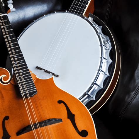 These Two Stringed Instruments Are Both Incredible While The Mandolin