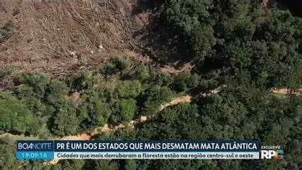 Paraná é o 3º estado que mais desmata Mata Atlântica no país indica