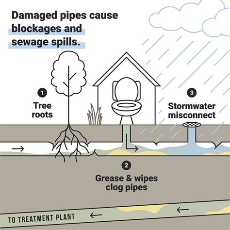 How Do Sewage Spills And Failures Pollute Coastal Watersheds