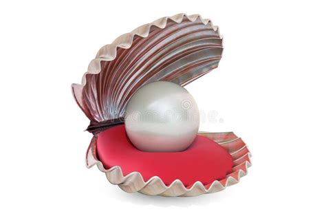 Open Oyster Sea Shell With Valuable Pearl Isolated Realistic 3d Vector