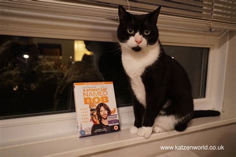 A Street Cat Named Bob the Movie! - Katzenworld