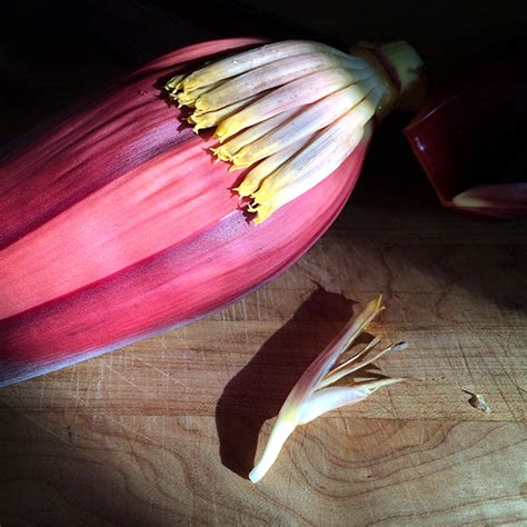 What Is That? Banana Blossom Salad » Wonderland Kitchen