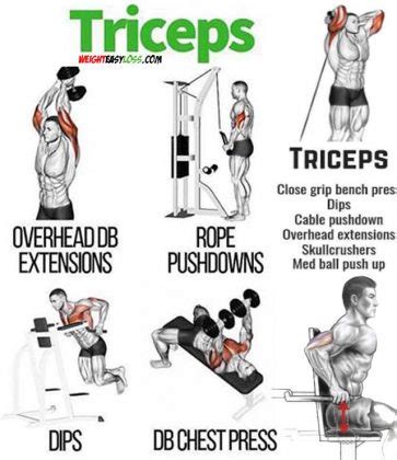 How to Triceps Pushdown, Technique and Types | Video & Guide