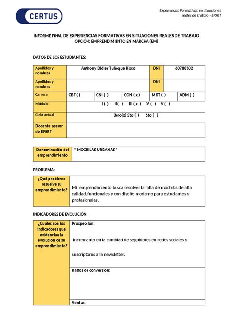 2 Informe Final Emprendimiento EN Marcha Reales De Trabajo EFSRT