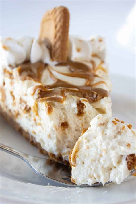 Cookie Butter No Bake Cheesecake Practically Homemade