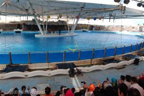 Dolphin Park In Kish Kish Attractions Travel To Iran