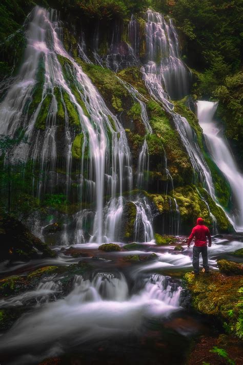 Waterfall & Forest Landscapes Photo Gallery