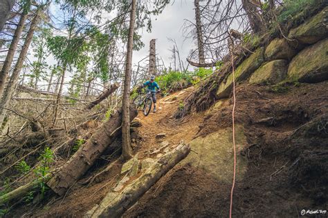 2023 06 25 Harz 18 Michael Topp Flickr