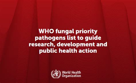 Need For Surveillance And Stewardship Actions WHO Fungal Priority