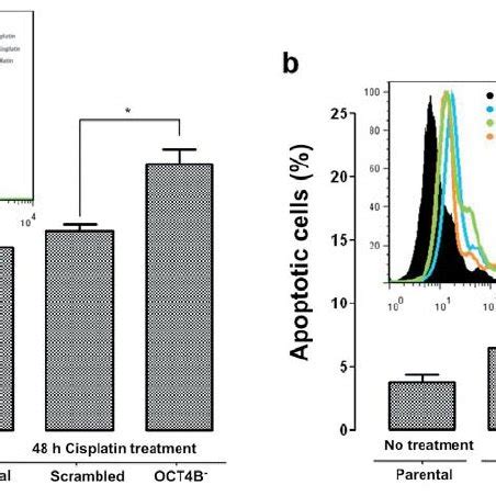 Effect Of Partial Suppression Of Octamer Binding Transcription