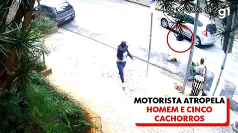 V Deo Veja O Momento Em Que Motorista Atropela Homem E Cinco Cachorros