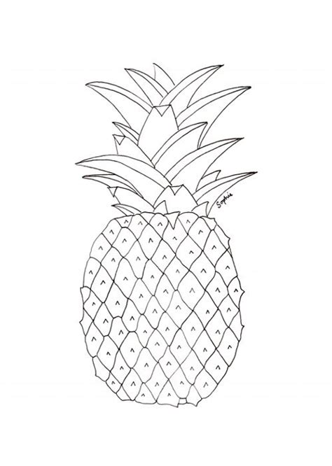 Pineapple Black And White Drawing Pineapple Drawing Simple Line