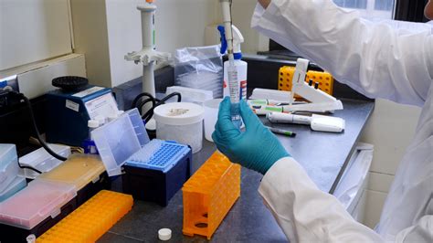 High Throughput Screening Of Compounds Using Neutrophils Isolated From