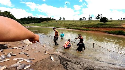 PEGAMOS QUASE UMA TONELADA DE PEIXES NESSA POÇA QUE SECAMOS DUVIDO JÁ