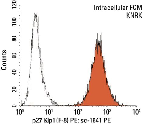 Anti P27 Kip1 CDKN1B Antibody F 8 SCBT Santa Cruz Biotechnology