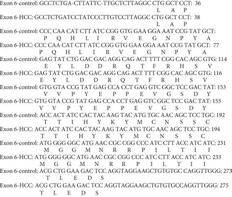 Amino Acid Sequence Alignment Of Rat P53 Gene Exon 6 In Both Control Download Scientific