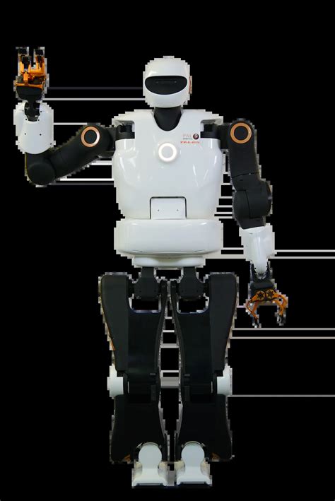 Biped Robot Atelier Yuwaciaojp