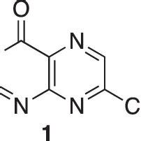 Reactivity of pterin N-oxides reported by Taylor and Jacobi. | Download ...