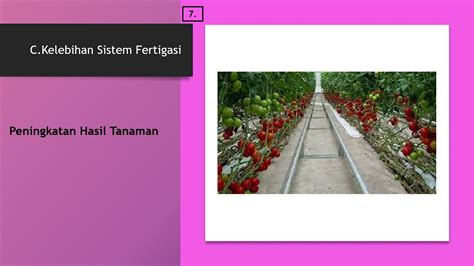 Contoh Lakaran Sistem Fertigasi Gegelang Tingkatan 1 Bab 5 Fertigasi