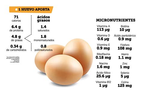 El Huevo Curiosidades Y Nutrientes