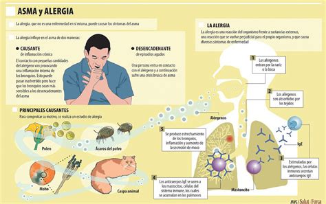 Asma Alérgica Alergia en República Dominicana Dr Guillermo Angeles