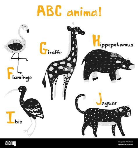 Alphabet Animals Stock Vector Images Alamy