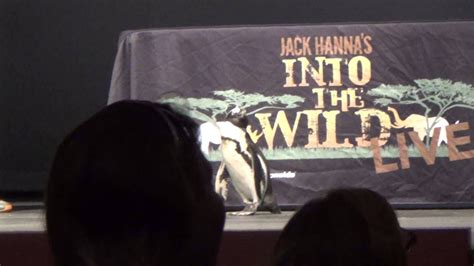 Southeastern Wild Life Expo Sewe Jack Hanna Penguin Youtube