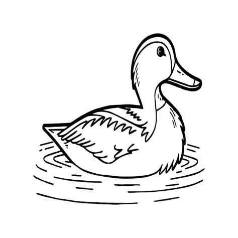 Premium Vector | Duck coloring pages Duck outline vector for coloring book