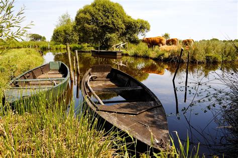 Le Parc Naturel Régional de Brière