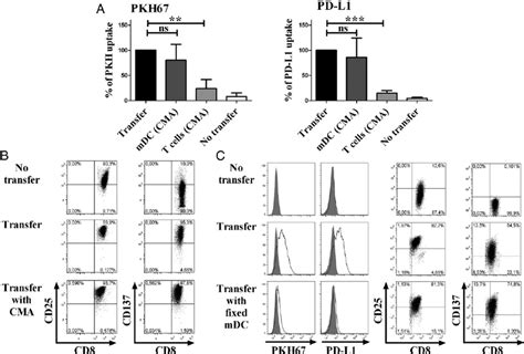 Inhibition of trogocytosis. A , Impairment of trogocytosis of membrane ...