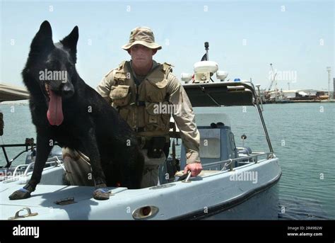 US Navy Master at Arms Stock Photo - Alamy