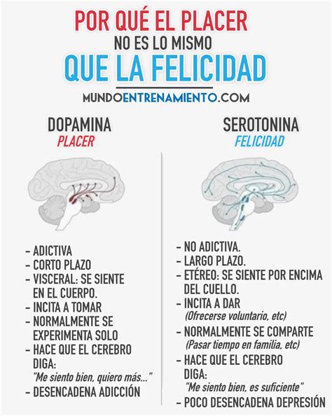 Serotonina y dopamina influencia en el estado de ánimo