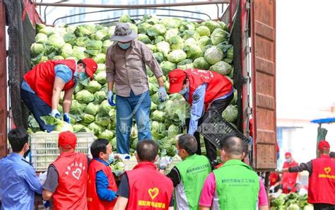 湖北襄阳：爱心蔬菜驰援上海 人民图片网