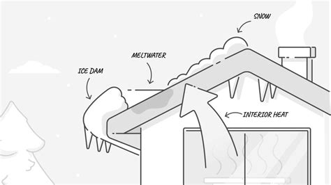 Lemonade homeowner’s insurance as low as $25 per month | CNN Underscored 