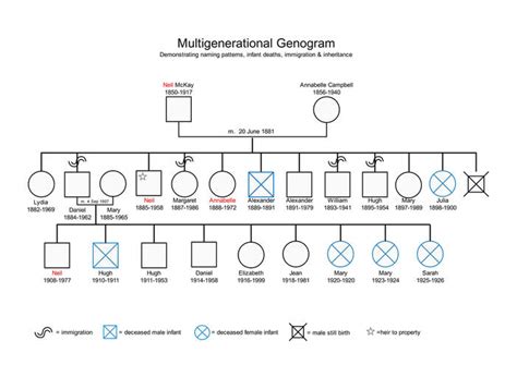 Genograms And Genealogy