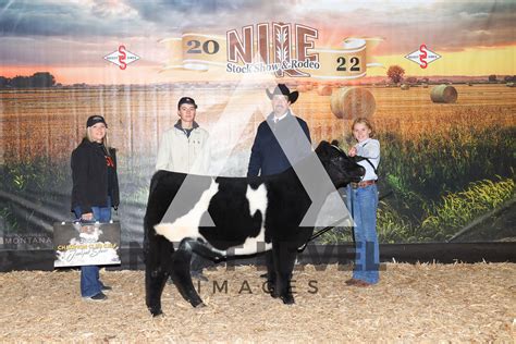 Club Calf Jackpot Show Next Level Images