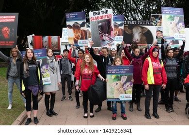 Peta Activists Revealing Naked Truth Wool Stock Photo Shutterstock