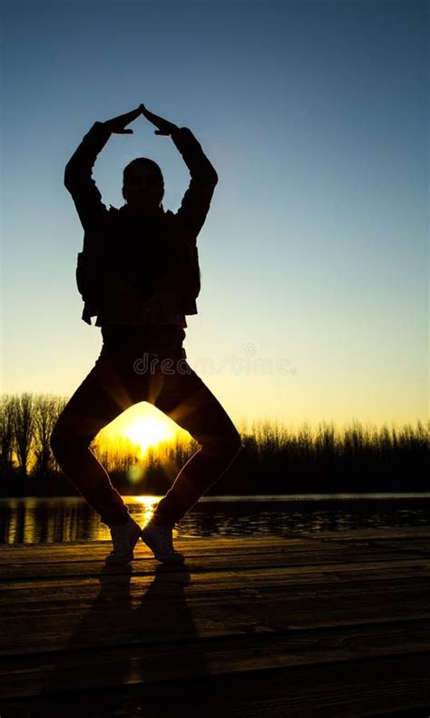 Silhueta Da Jovem Mulher No Por Do Sol Foto De Stock Imagem De Sombra